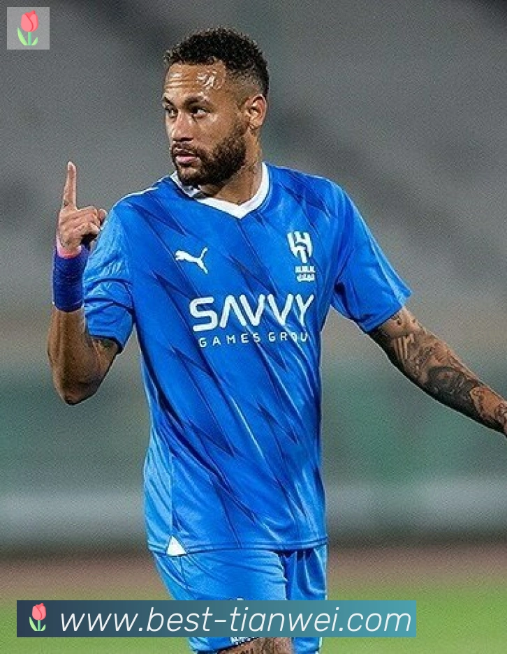 维尼修斯